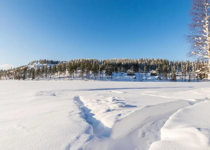 Ferienhaus Hallantytaer B4 Paritalo By Interhome *